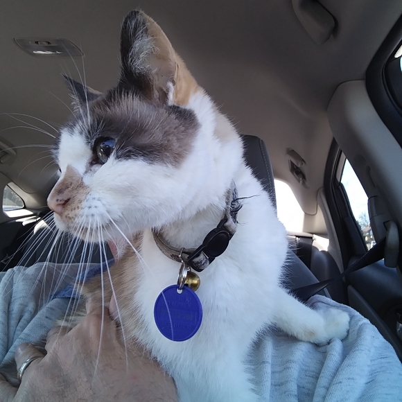 Meet your Poshers, William & Amy - Picture 2 of 7